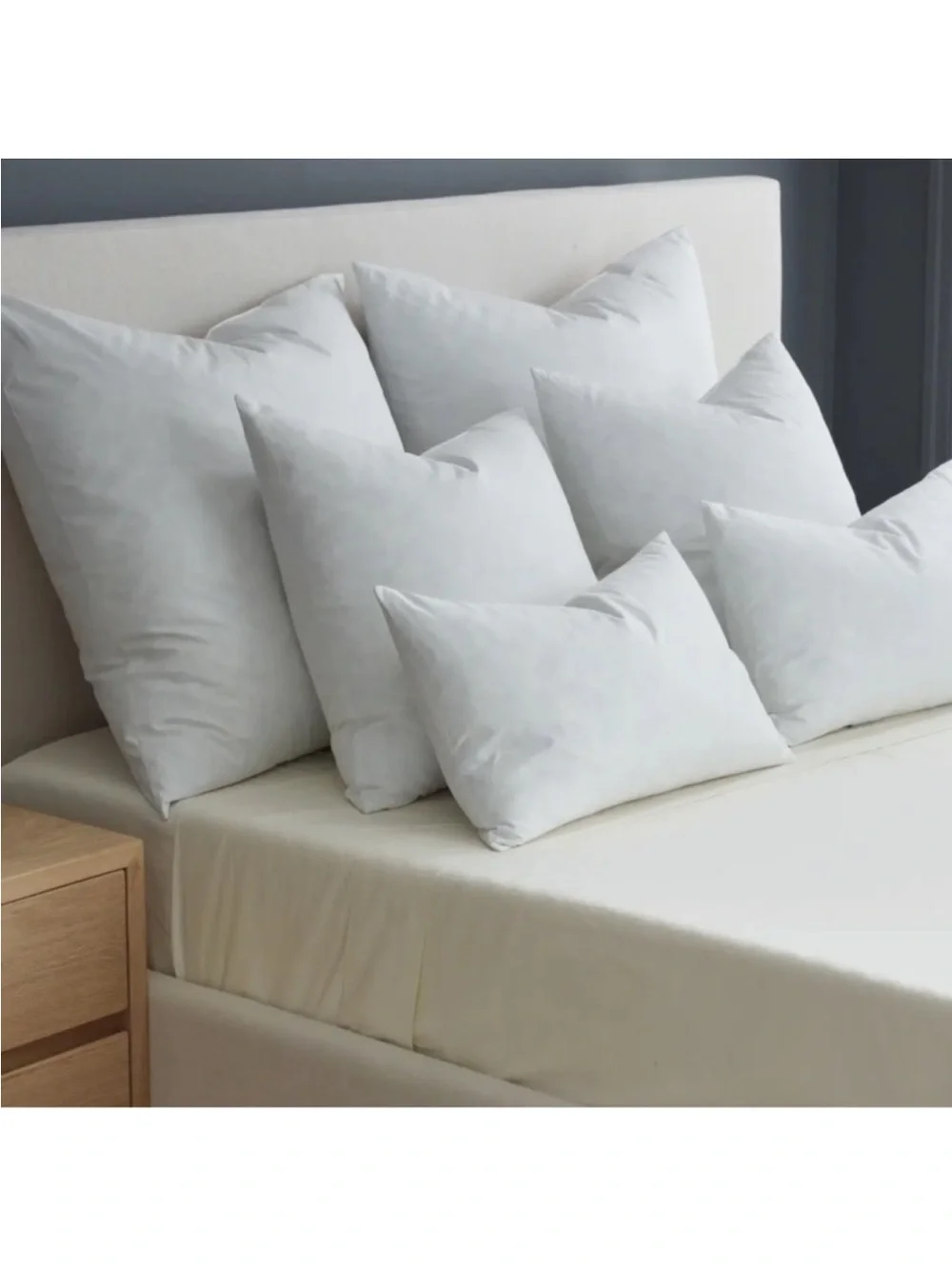 NWOT QUINCE Premium Feather Pillow Insert 22x22”